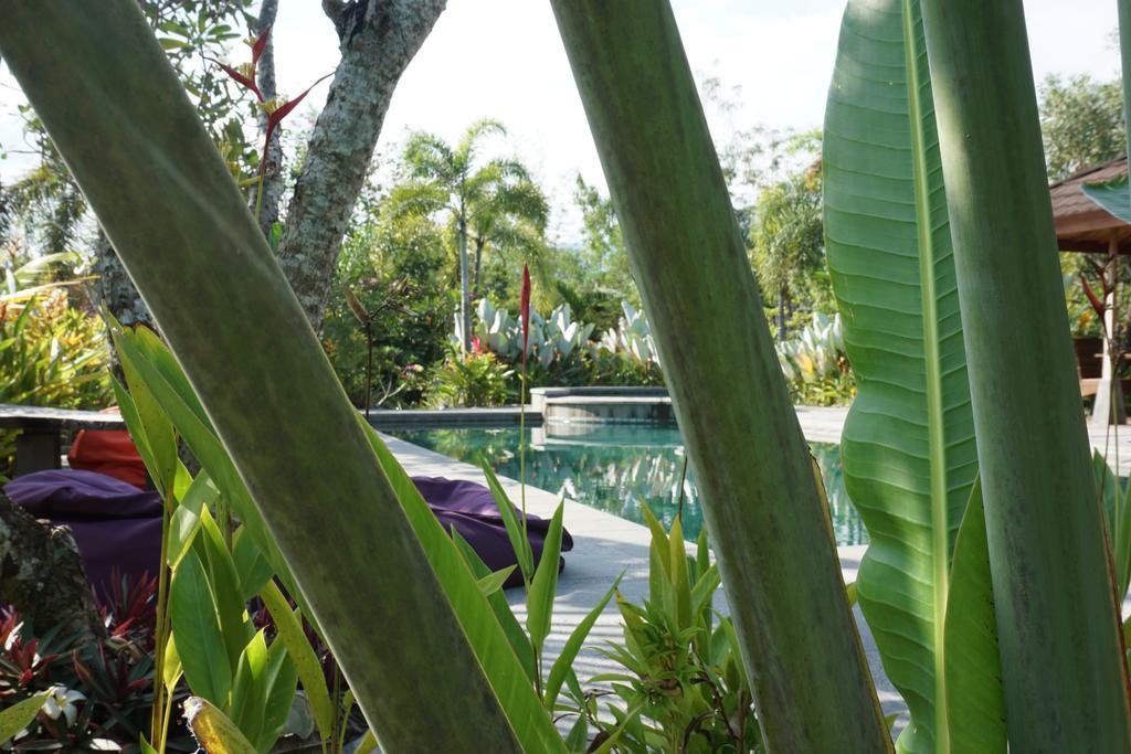 Ibludan Hotel Senggigi Exteriör bild