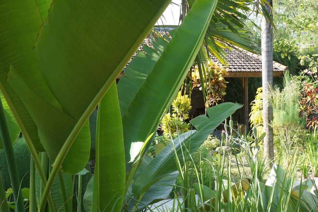 Ibludan Hotel Senggigi Exteriör bild