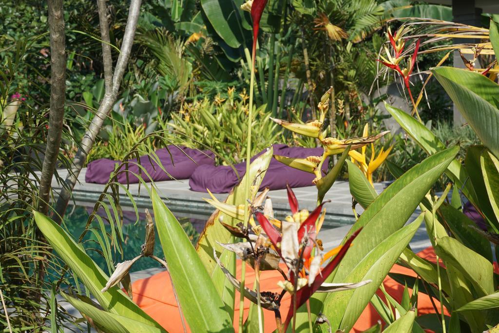 Ibludan Hotel Senggigi Exteriör bild